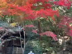 徳光院の本殿