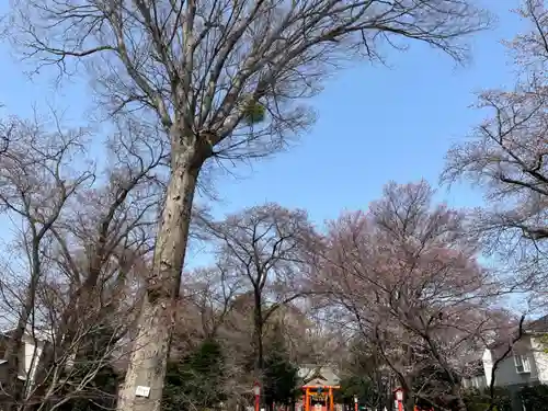 村富神社(神奈川県)