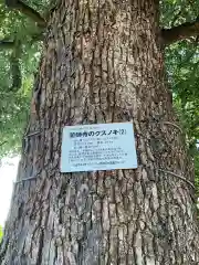 青海山　薬師寺(愛知県)