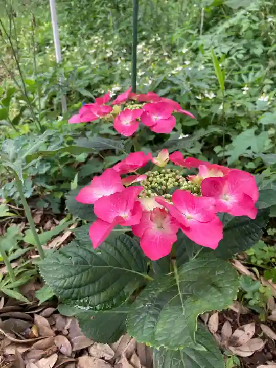 息栖神社の自然
