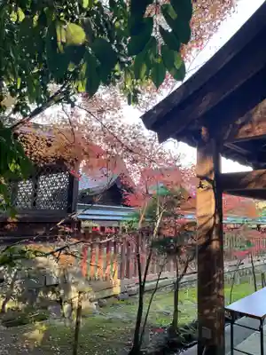 龍田大社(奈良県)