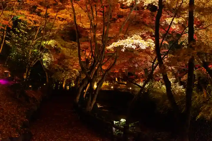 北野天満宮(京都府)