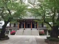 伝通院の本殿・本堂