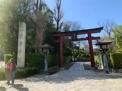 根津神社の{uncategorized: "未分類", other: "その他", undefined: "問題あり", building: "その他建物", grave: "お墓", sacred_gate: "鳥居", guardian: "狛犬", statue: "像", buddha: "仏像", history: "歴史", nature: "自然", garden: "庭園", animal: "動物", pagoda: "塔", temizu: "手水舎", mountain_gate: "山門・神門", sanctuary: "本殿・本堂", subordinate: "末社・摂社", art: "芸術", scenery: "景色", jizo: "地蔵", ema: "絵馬", goshuin: "御朱印", omikuji: "おみくじ", items: "授与品その他", amulet: "お守り", goshuincho: "御朱印帳", eats: "食事", festival: "お祭り", votive_dance: "神楽", shichigosan: "七五三参", wedding: "結婚式", experience: "体験その他", initially: "初詣", around: "周辺", anti_infection: "感染症対策"}