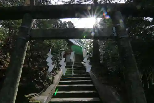 日枝神社の鳥居