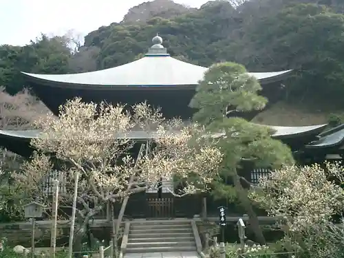 瑞泉寺の本殿・本堂