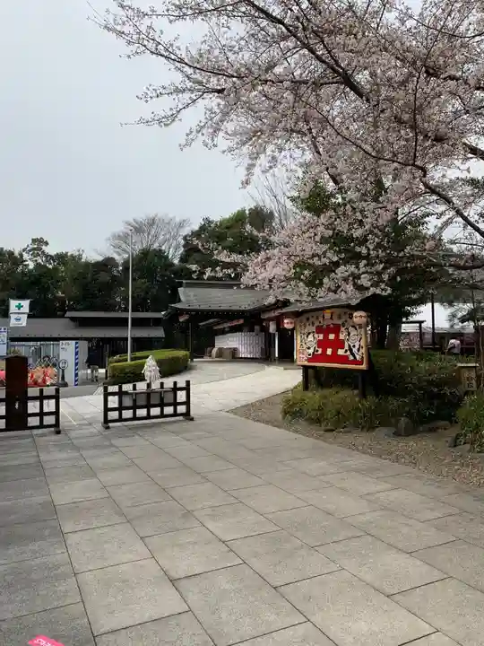 櫻木神社の自然
