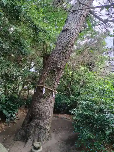 第六天神社(神奈川県)