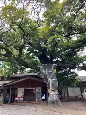 座間神社(神奈川県)
