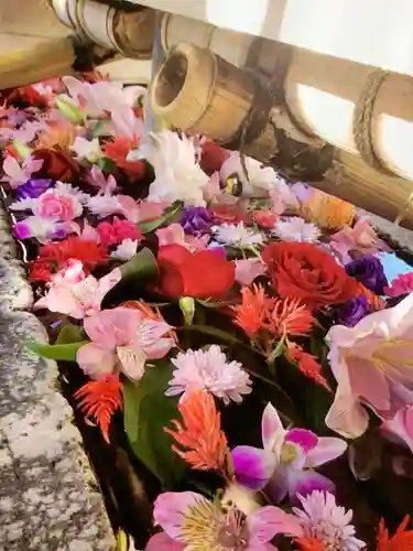 鳩森八幡神社の手水舎