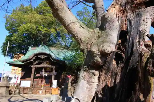 阿邪訶根神社の本殿・本堂