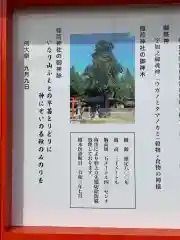 鼬幣稲荷神社の建物その他