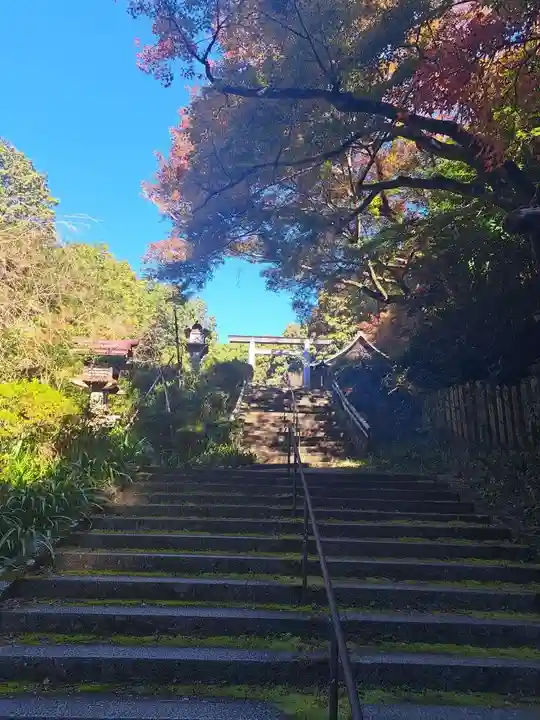 日向大神宮(京都府)