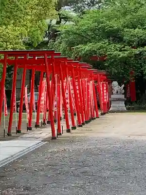 於菊稲荷神社の鳥居