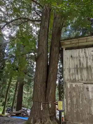 丹内山神社(岩手県)