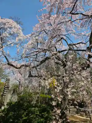 中院(埼玉県)