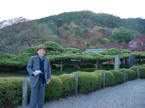 善峯寺の庭園