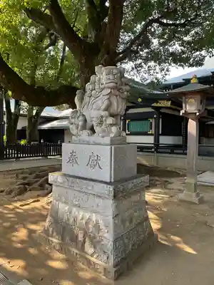 穴八幡宮の狛犬