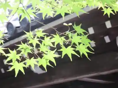 龍安寺のその他建物