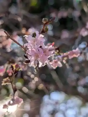 白幡八幡神社(神奈川県)