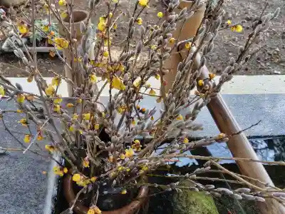 高司神社〜むすびの神の鎮まる社〜(福島県)