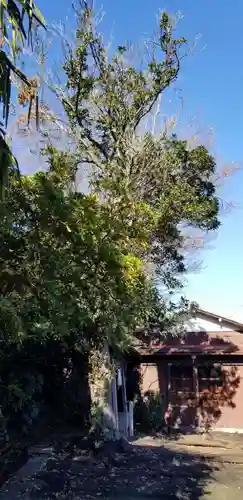 正一位稲荷大明神(千葉県)