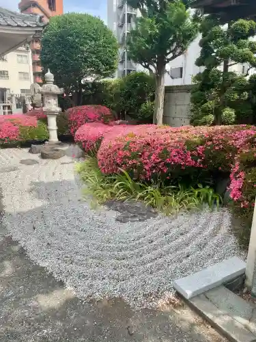 善願寺(栃木県)