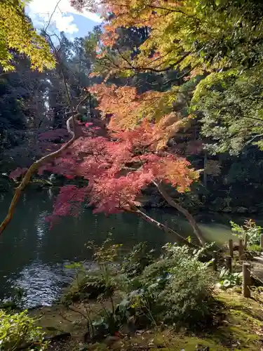 成田山新勝寺の自然