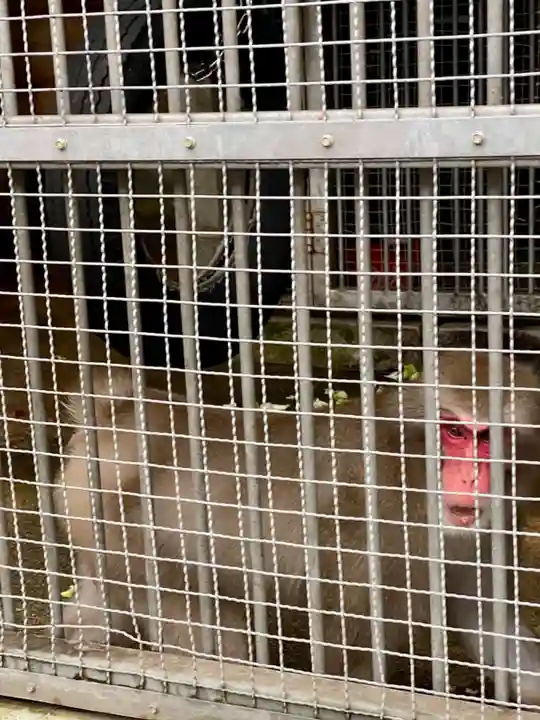 日吉大社(滋賀県)