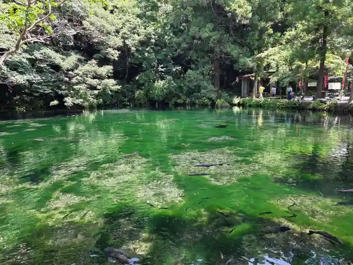 涌釜神社(栃木県)