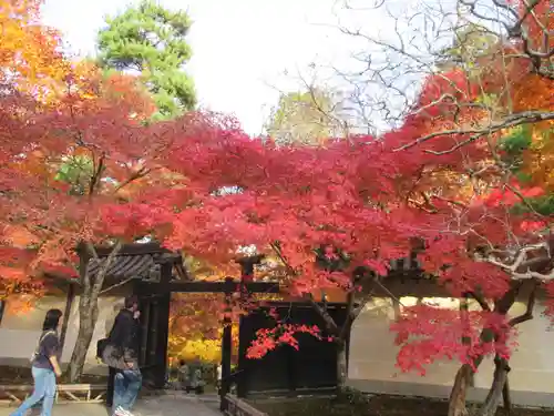 二尊院(京都府)