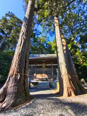 宇賀神社（柚井）の自然