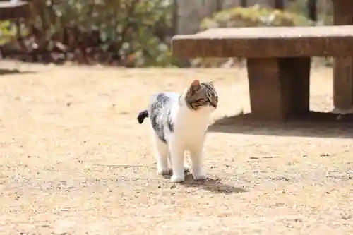 玉野御嶽神社(愛知県)
