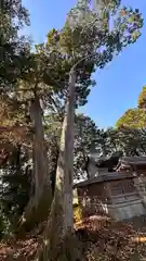 八阪神社(滋賀県)