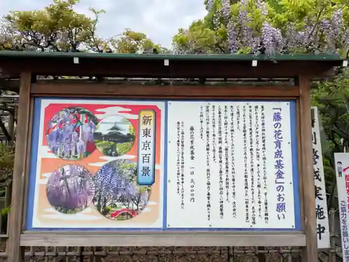 亀戸天神社の歴史