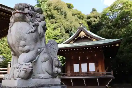 赤羽八幡神社の狛犬