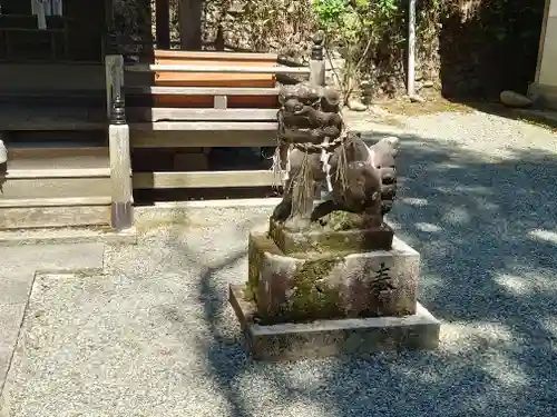 細川神社の狛犬