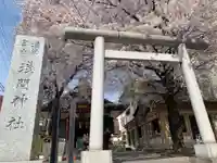 浅草富士浅間神社の鳥居