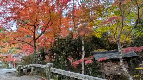 鍬山神社(京都府)