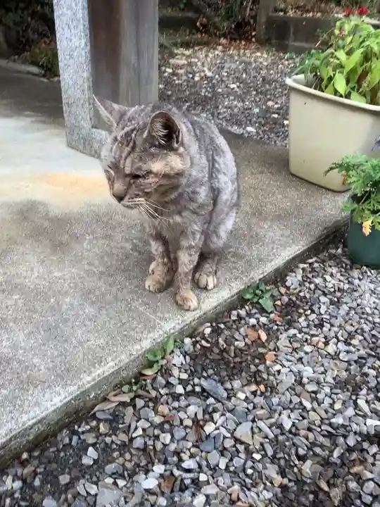 玉野御嶽神社の動物