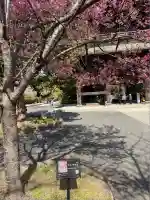 建長寺(神奈川県)