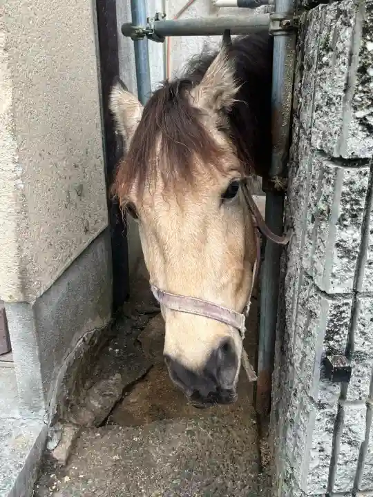 吉川八幡神社(大阪府)