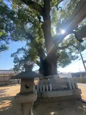 船守神社の自然