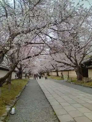 醍醐寺(京都府)