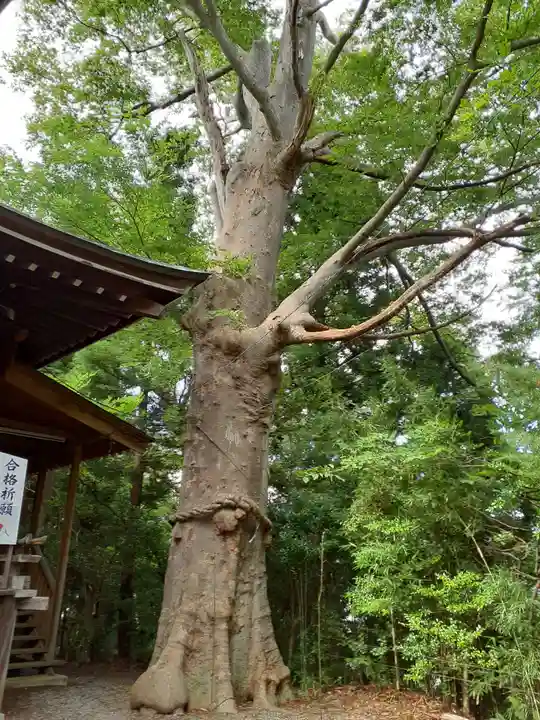 横山八幡宮(岩手県)
