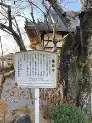 薬常寺の歴史