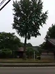 金剛寿院 (伝法寺)の建物その他