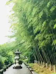 資福禅寺の塔