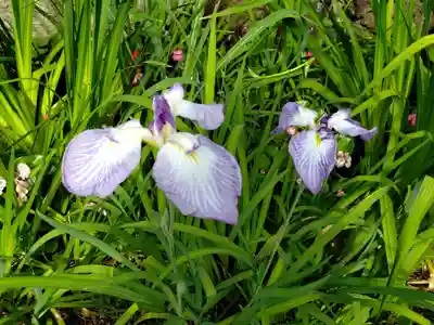 松應寺(東京都)