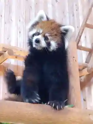 妙法寺(福井県)